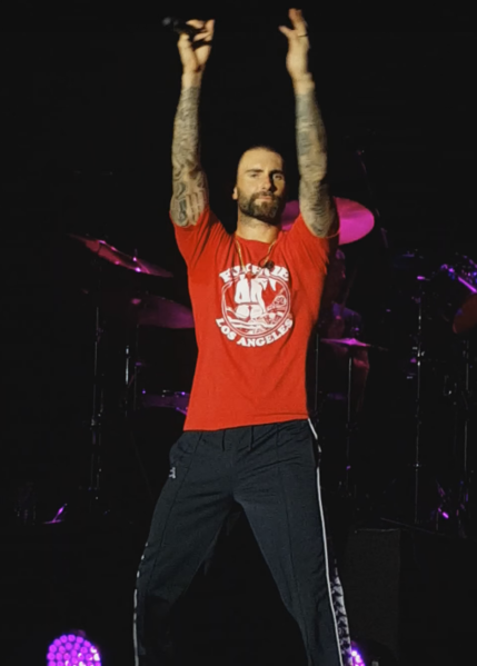Adam Levine’s Hair Problems. How did he solve it? 