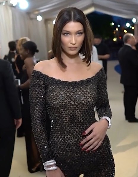 A close look at Bella Hadid age, height, Weight, Parents, and Siblings. 