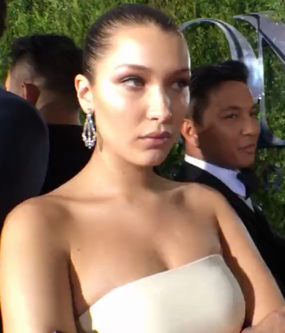 Is Bella Hadid Black Or White? This image define everything about it. 