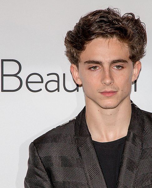 What's Timothee Chalamet Educational Background? 