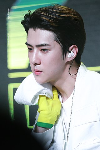 What Did Sehun Say About His Sexuality? Let's know the truth. 